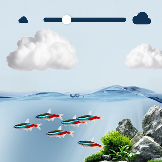 Juwel Aquarium - HeliaLux AppControl - zur Steuerung der HeliaLux Spectrum Beleuchtungseinheit per MyJUWEL App