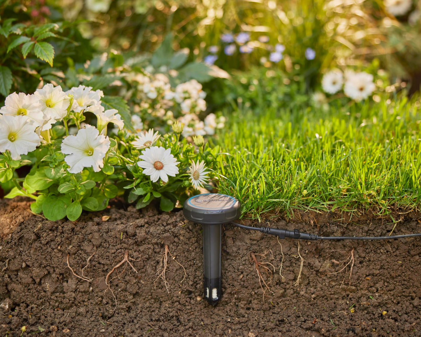 Gardena Bodenfeuchtesensor: Automatische Bewässerung, direkt auf der Rasenfläche einsetzbar, 5 m langes Anschlusskabel, mit Verlängerungskabel erweiterbar (01867-20)