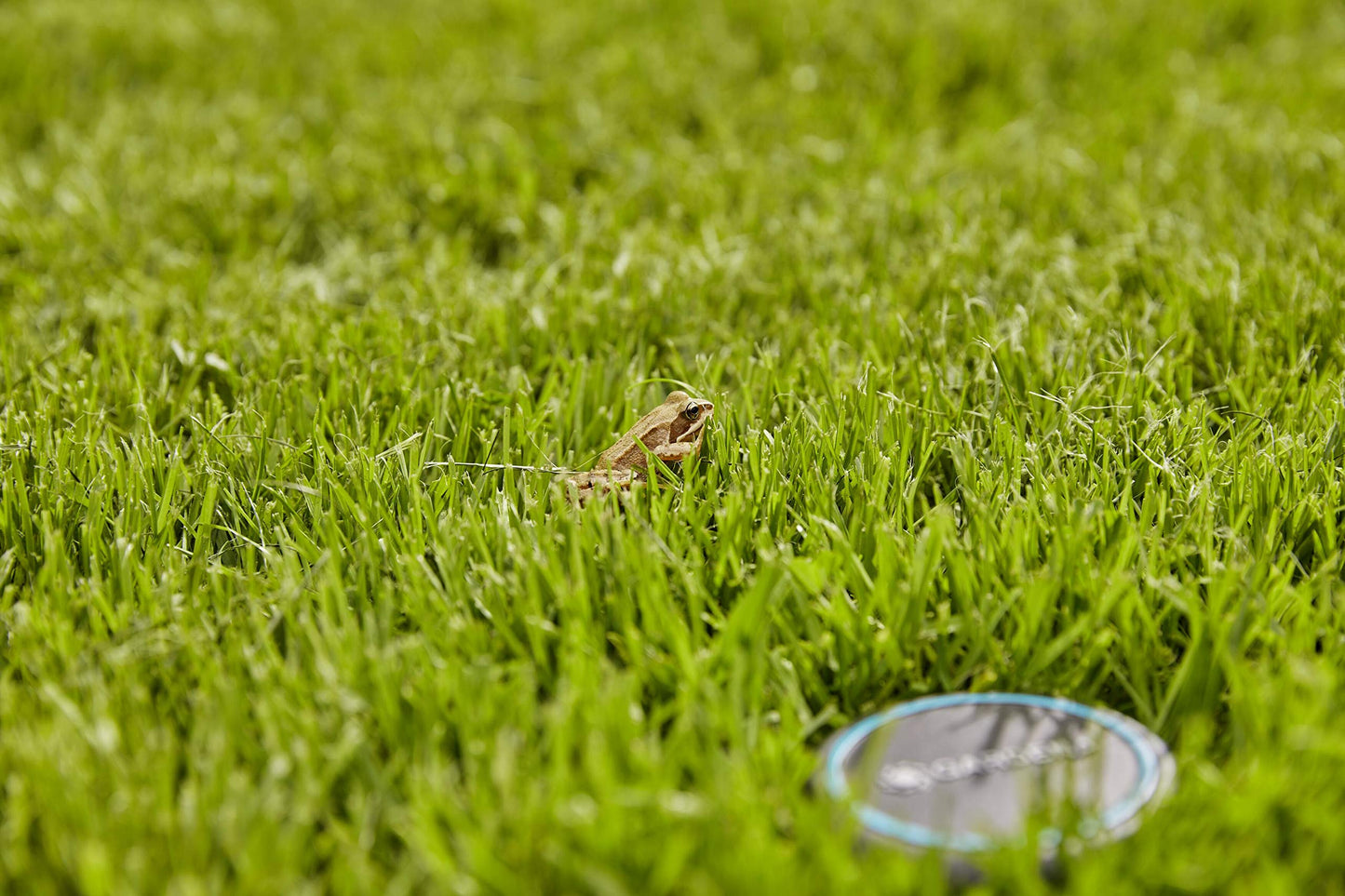 Gardena Bodenfeuchtesensor: Automatische Bewässerung, direkt auf der Rasenfläche einsetzbar, 5 m langes Anschlusskabel, mit Verlängerungskabel erweiterbar (01867-20)