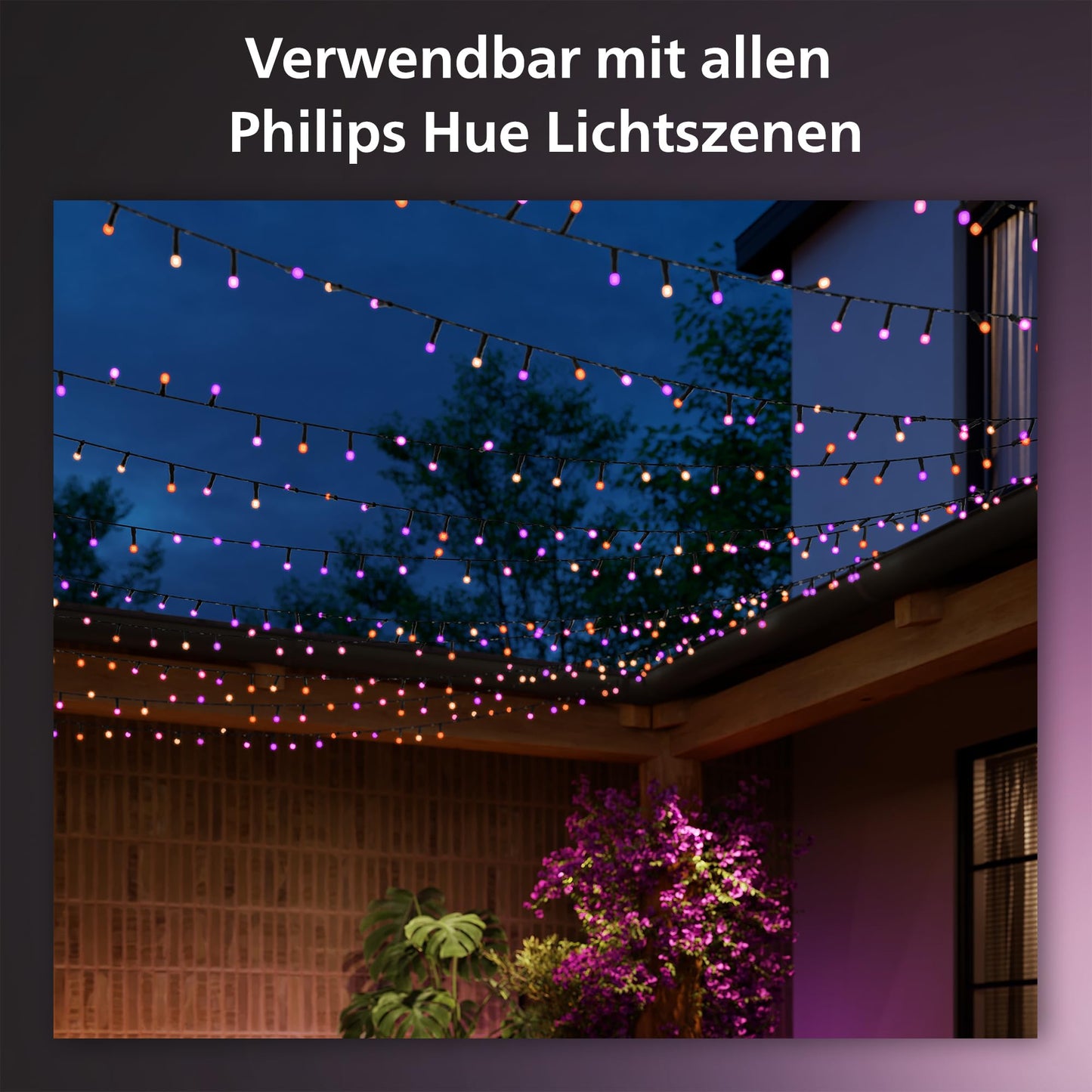 Philips Hue Festavia Lichterkette, White & Color Ambiance, dimmbar, 250 Mini LEDs, 20 m Länge, wasserdicht, kompatibel mit Amazon Alexa (Echo & Echo Dot)