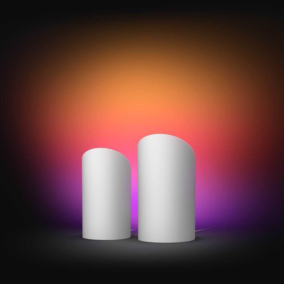Philips Hue Play Wallwasher Doppelpack Tischleuchte RGB Weiß (929004236201)